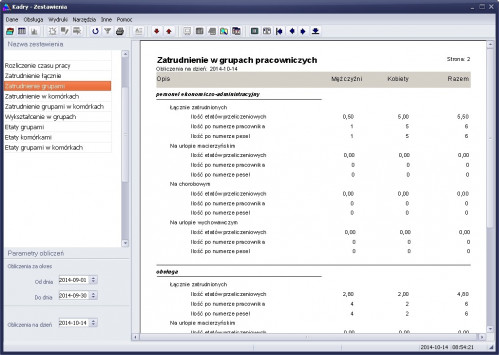 Widok raportu „Zatrudnienie w grupach pracowniczych”.